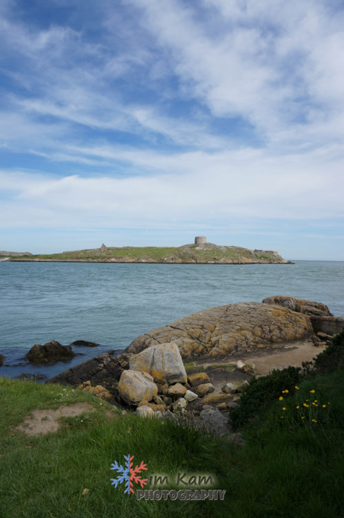 DSC02846