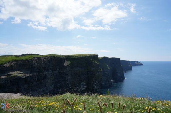 DSC03934