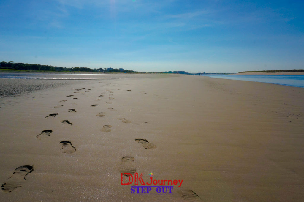 dsc03634