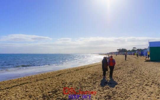 [澳洲] Brigten Beach：有一種朋友