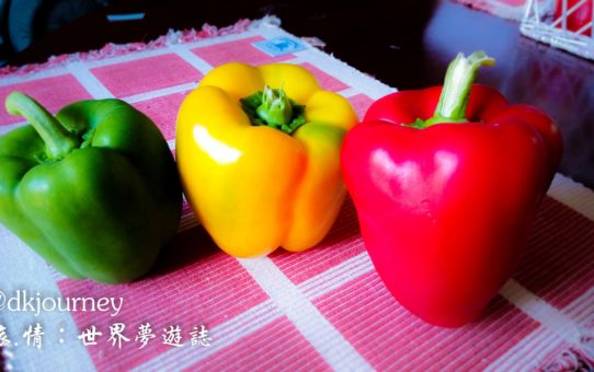 [澳洲] 溫室紅黃綠：農務的治療